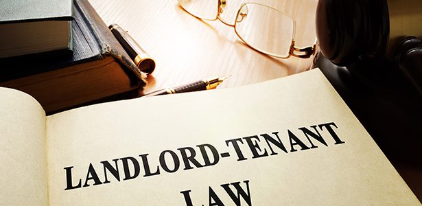Landlord Tenant Lawyer